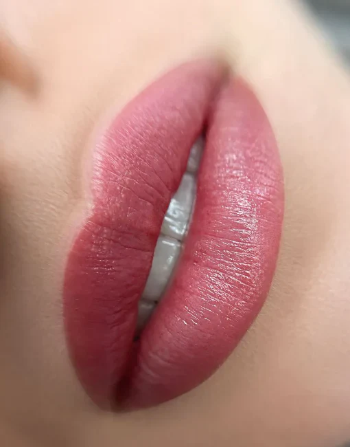 Hanafy Lip Pigment - Raspberry N6 - Image 3