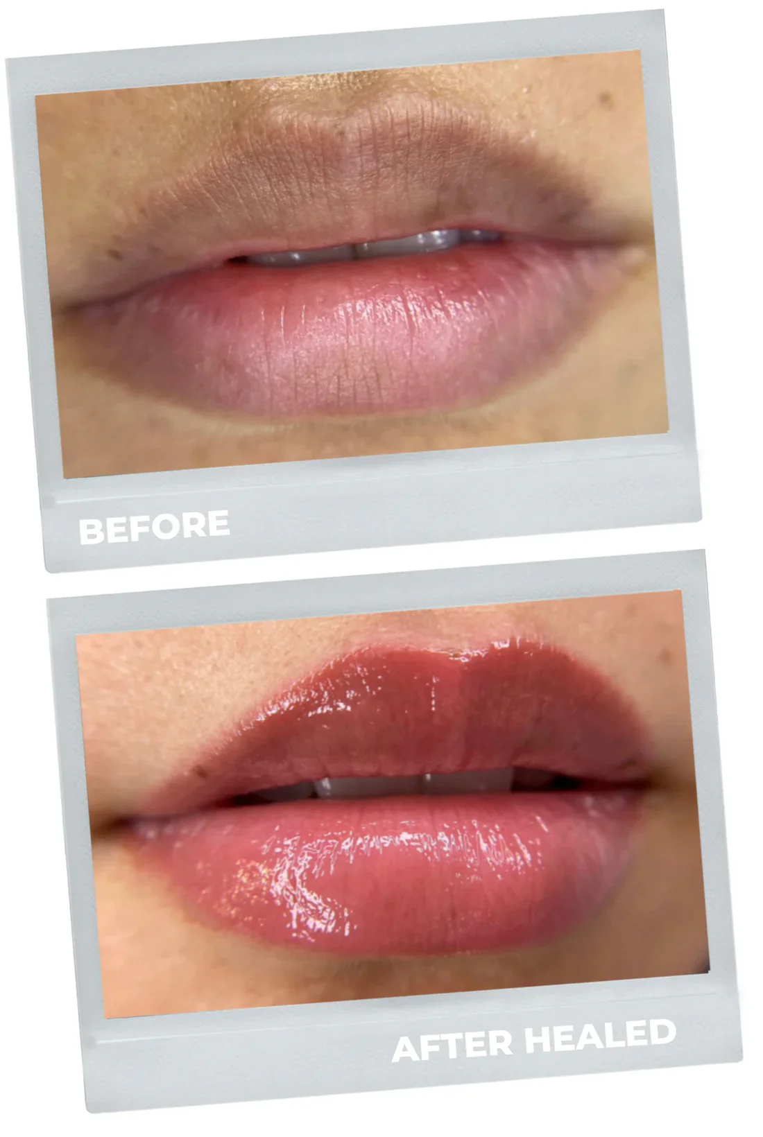 MARA Pro Neutral Lip Pigments Set - Image 6