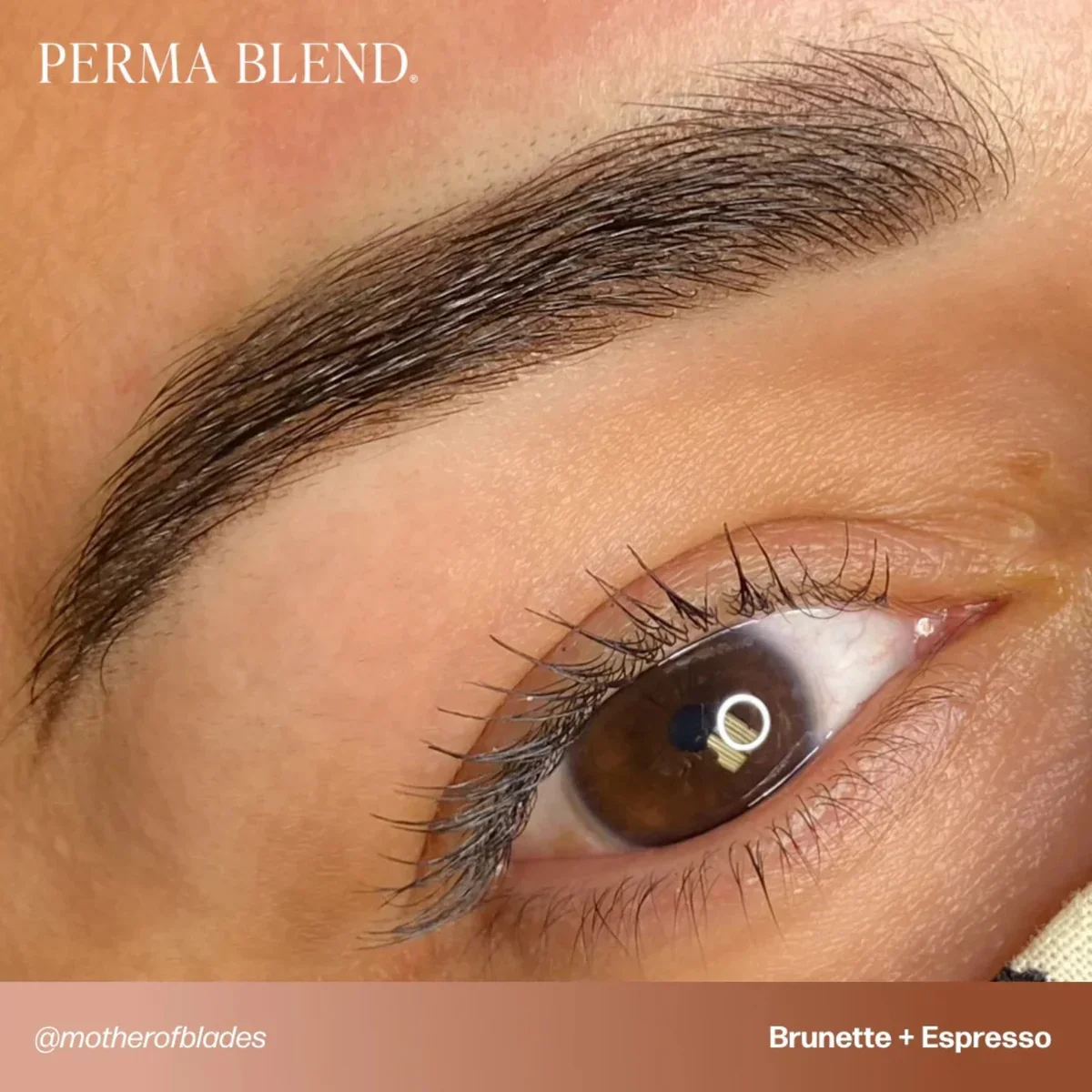 PERMA BLEND BROW PIGMENT - BRUNETTE - Image 4