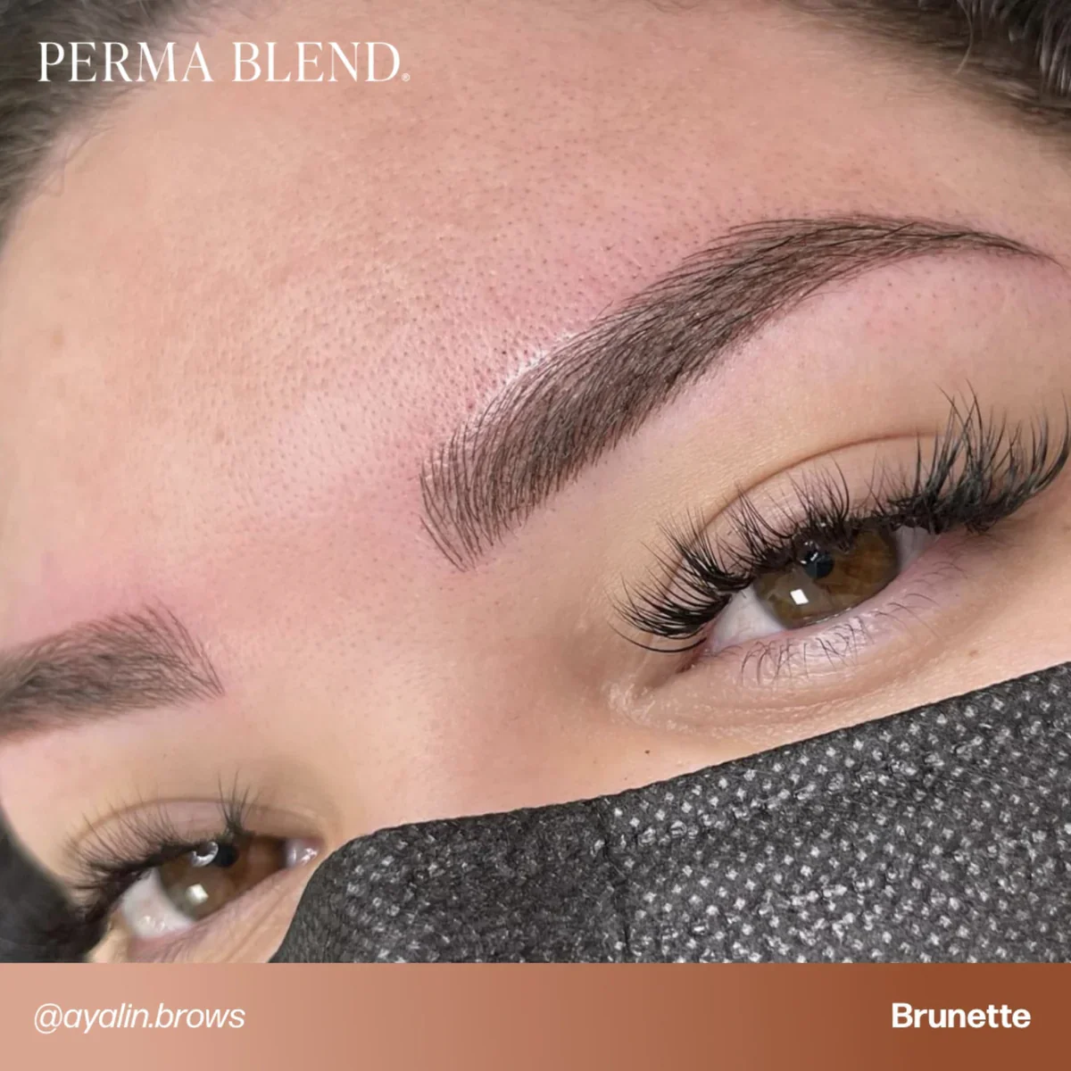 PERMA BLEND BROW PIGMENT - BRUNETTE - Image 6