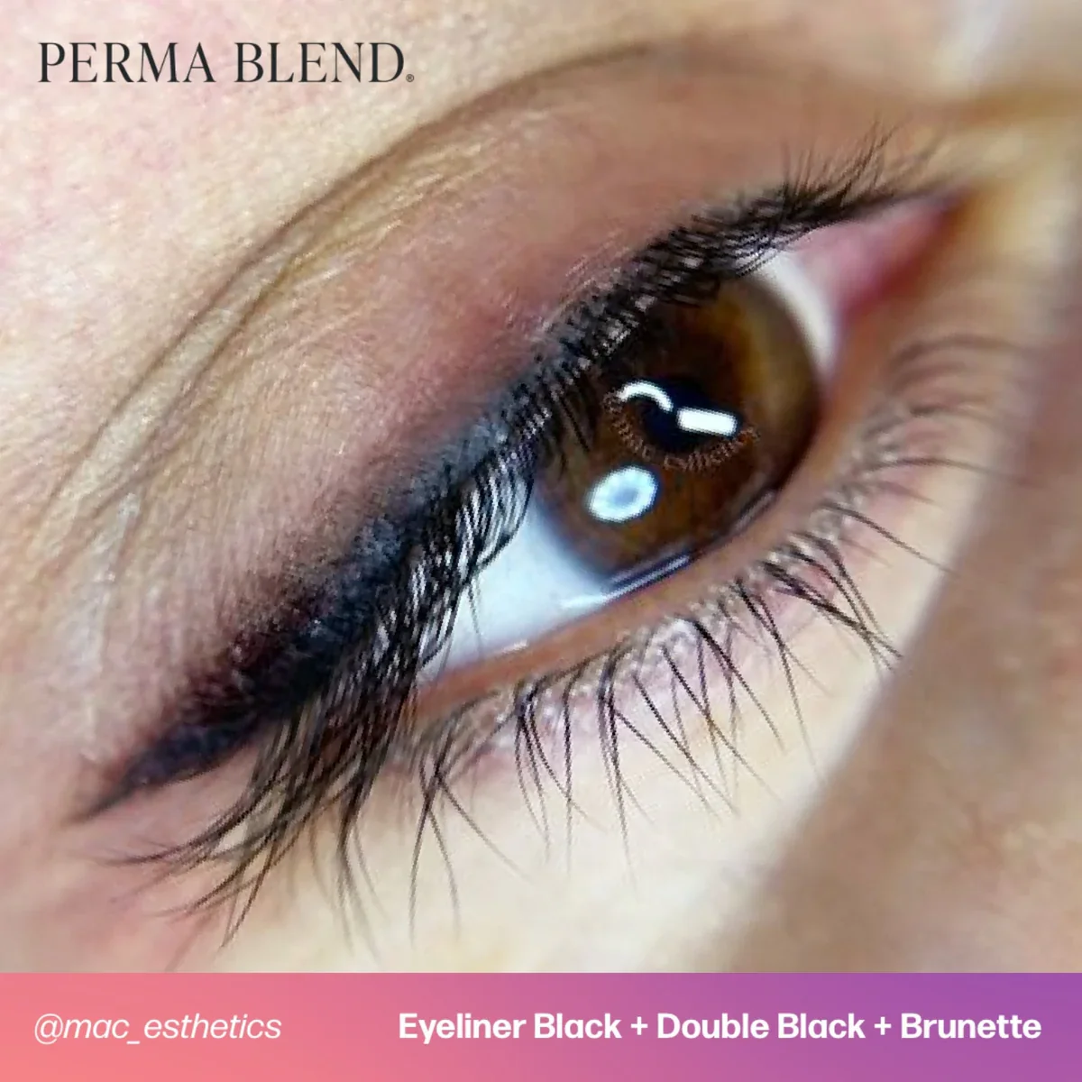 PERMA BLEND BROW PIGMENT - BRUNETTE - Image 7