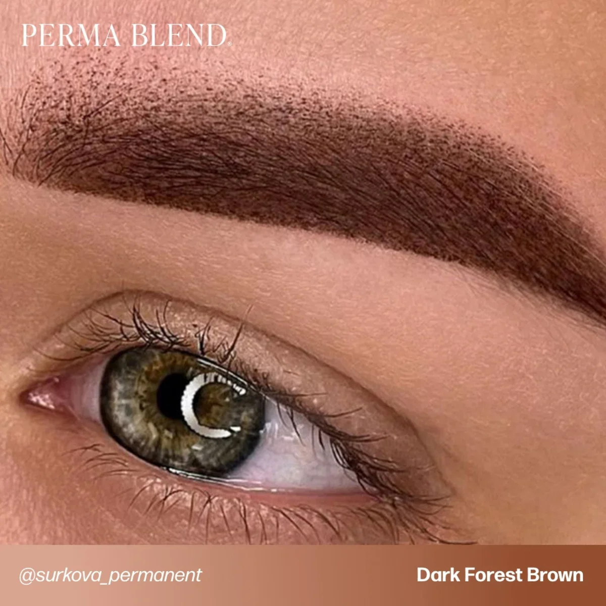 PERMA BLEND BROW PIGMENT - DARK FOREST BROWN - Image 4