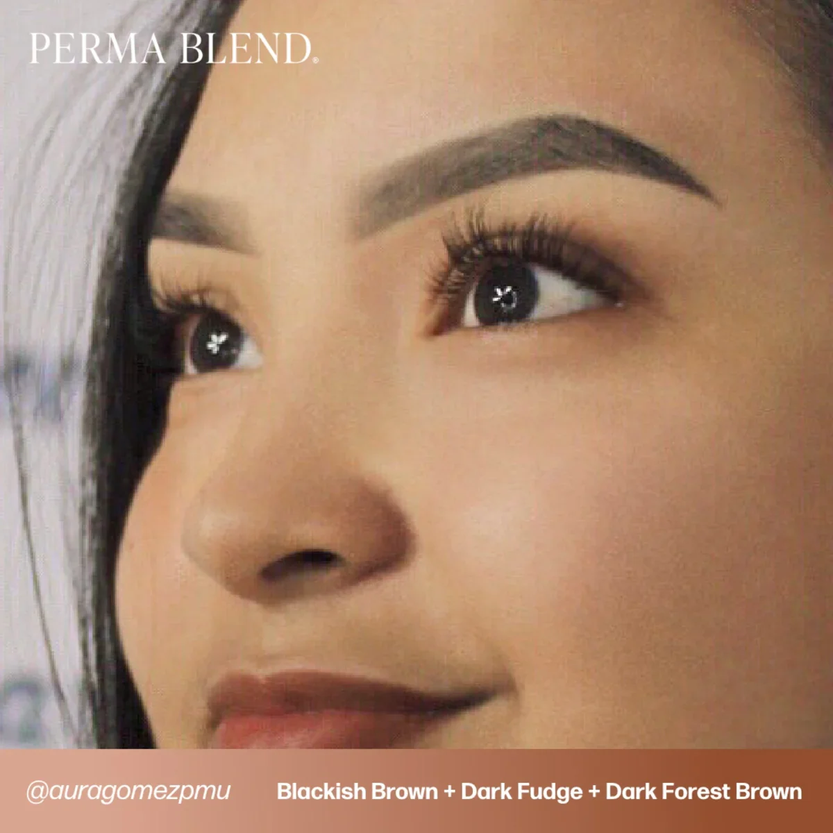 PERMA BLEND BROW PIGMENT - DARK FOREST BROWN - Image 5