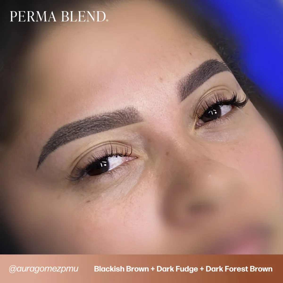 PERMA BLEND BROW PIGMENT - DARK FOREST BROWN - Image 6