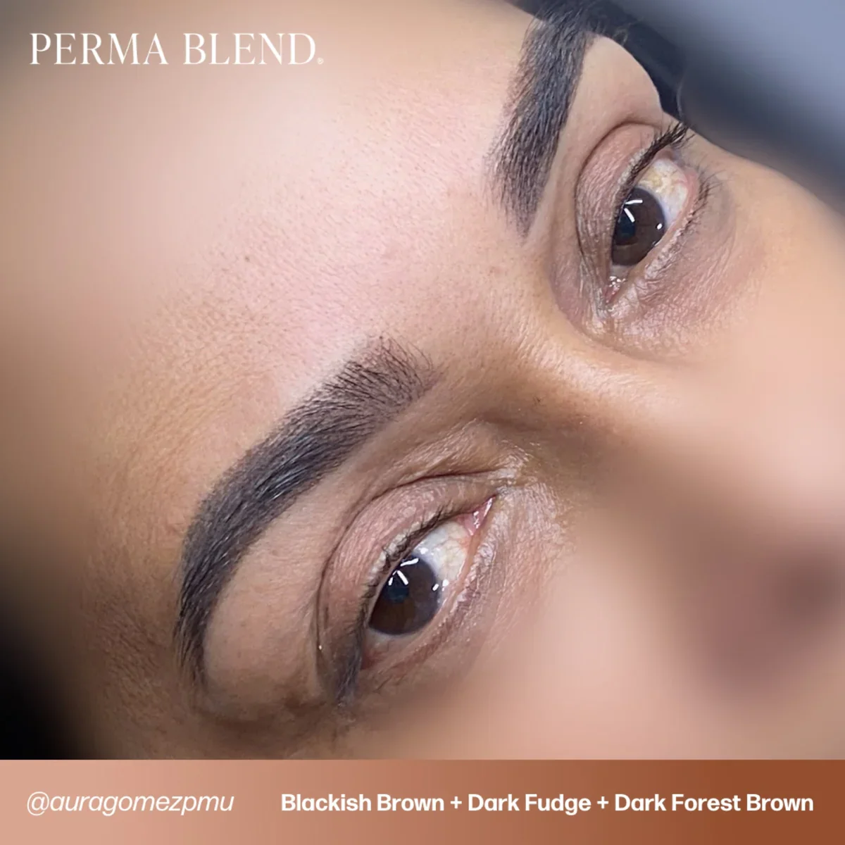 PERMA BLEND BROW PIGMENT - DARK FOREST BROWN - Image 7