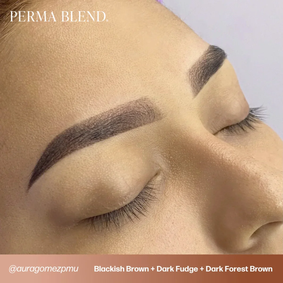 PERMA BLEND BROW PIGMENT - DARK FOREST BROWN - Image 8