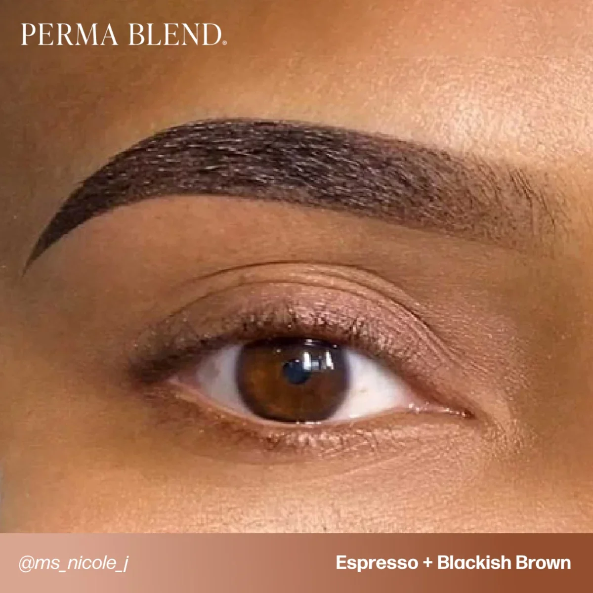PERMA BLEND BROW PIGMENT - ESPRESSO - Image 4