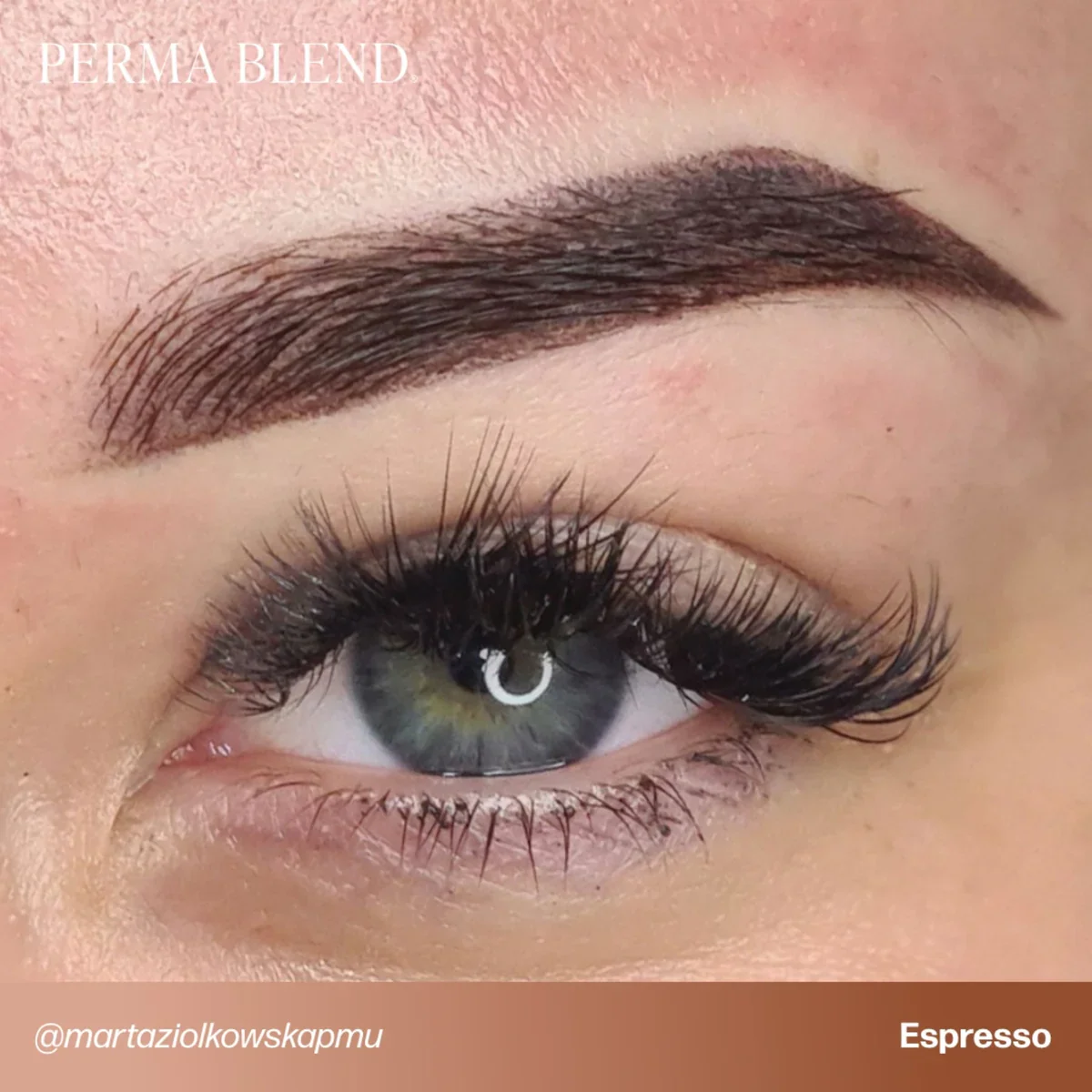 PERMA BLEND BROW PIGMENT - ESPRESSO - Image 5