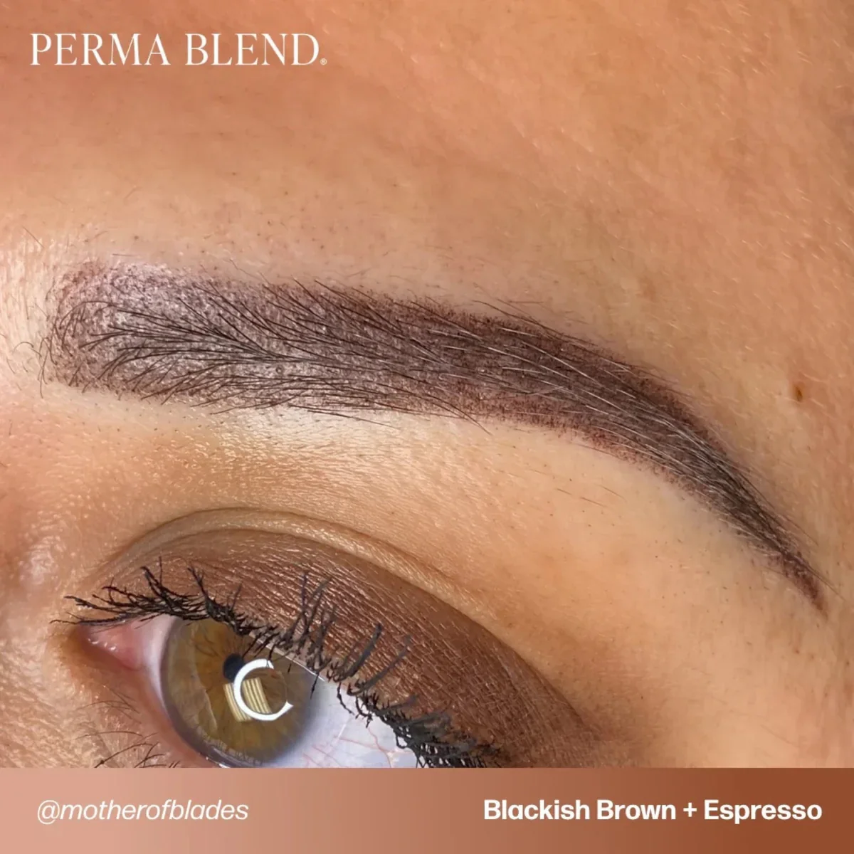 PERMA BLEND BROW PIGMENT - ESPRESSO - Image 7