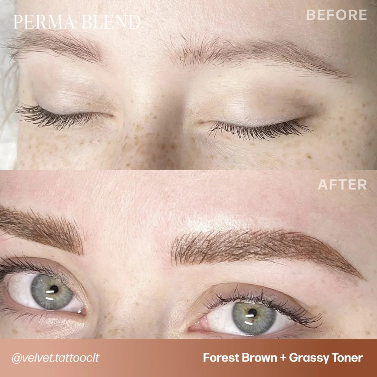 PERMA BLEND BROW PIGMENT - FOREST BROWN - Image 4