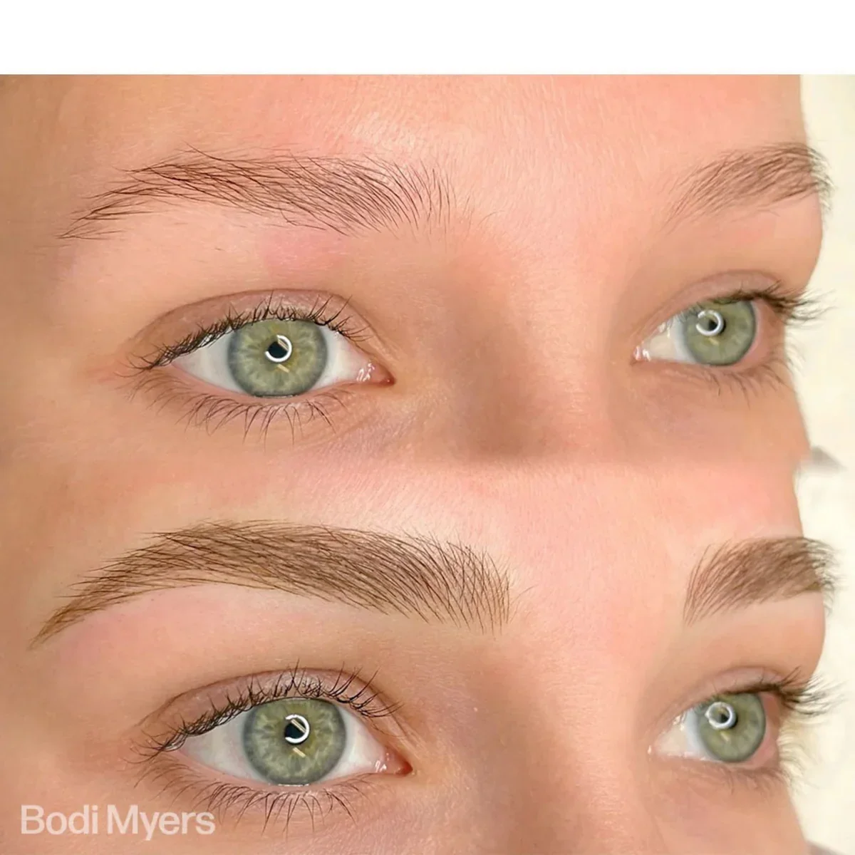 PERMA BLEND BROW PIGMENT - FOREST BROWN - Image 5