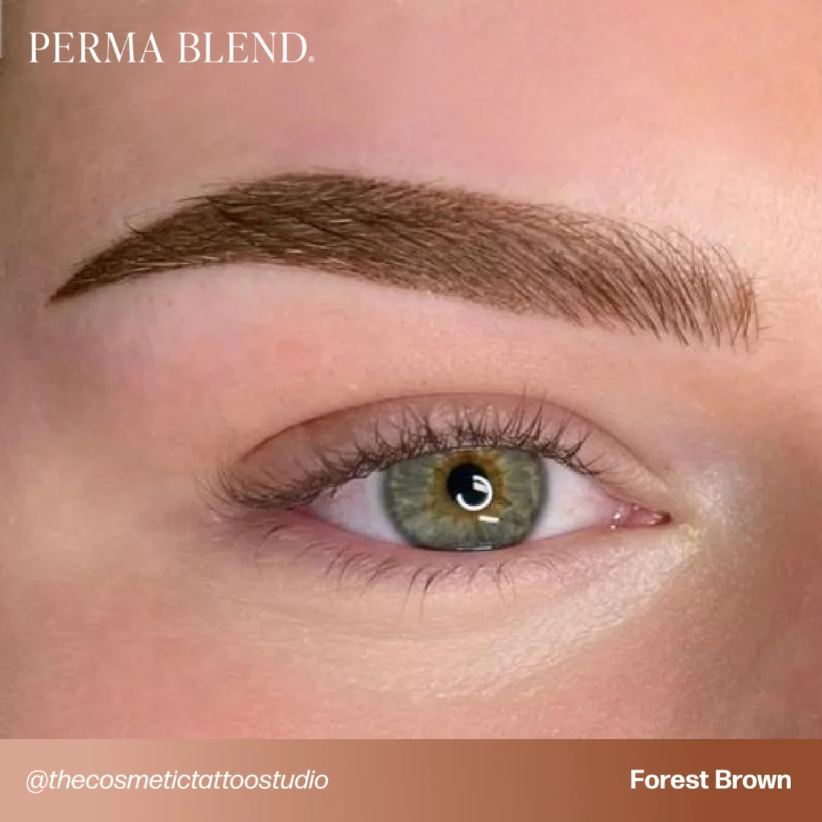 PERMA BLEND BROW PIGMENT - FOREST BROWN - Image 6