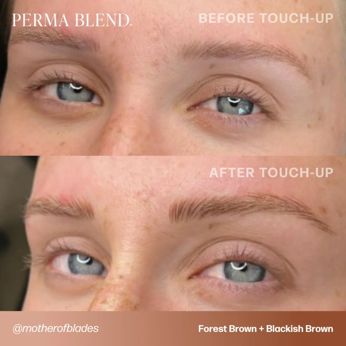 PERMA BLEND BROW PIGMENT - FOREST BROWN - Image 7