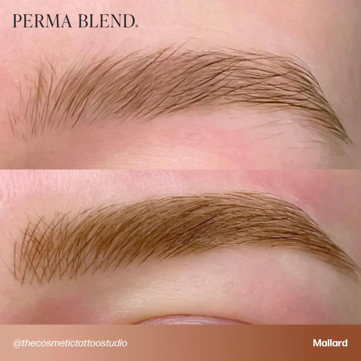PERMA BLEND BROW PIGMENT - MALLARD - Image 4