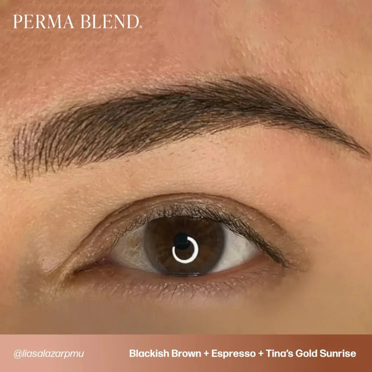 PERMA BLEND BROW PIGMENT - TINA’S GOLDEN SUNRISE - Image 4