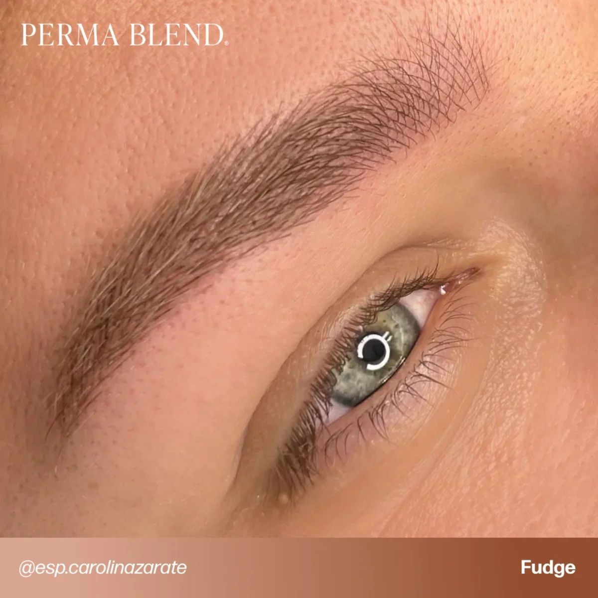 PERMA BLEND BROW PIGMENT - FUDGE - Image 2