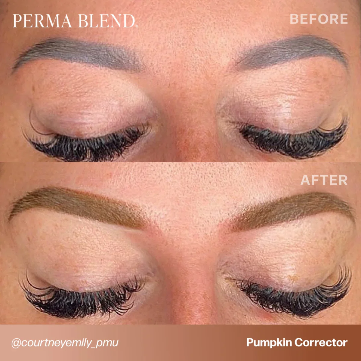 PERMA BLEND - Correctors - Toners - Image 11