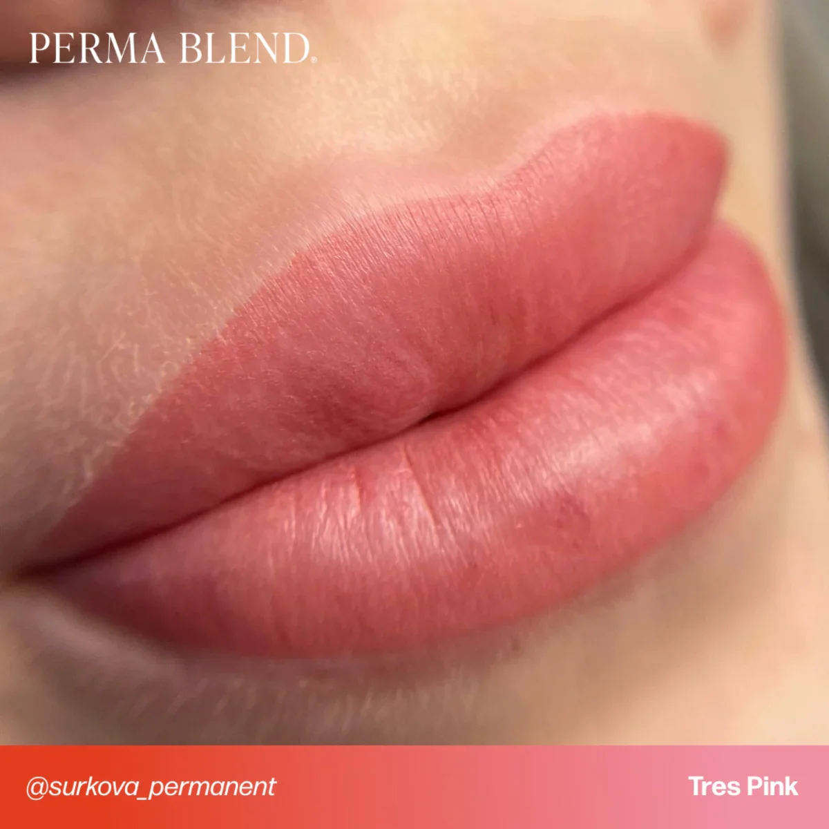 PERMA BLEND LIP SHADES - TRES PINK - Image 4
