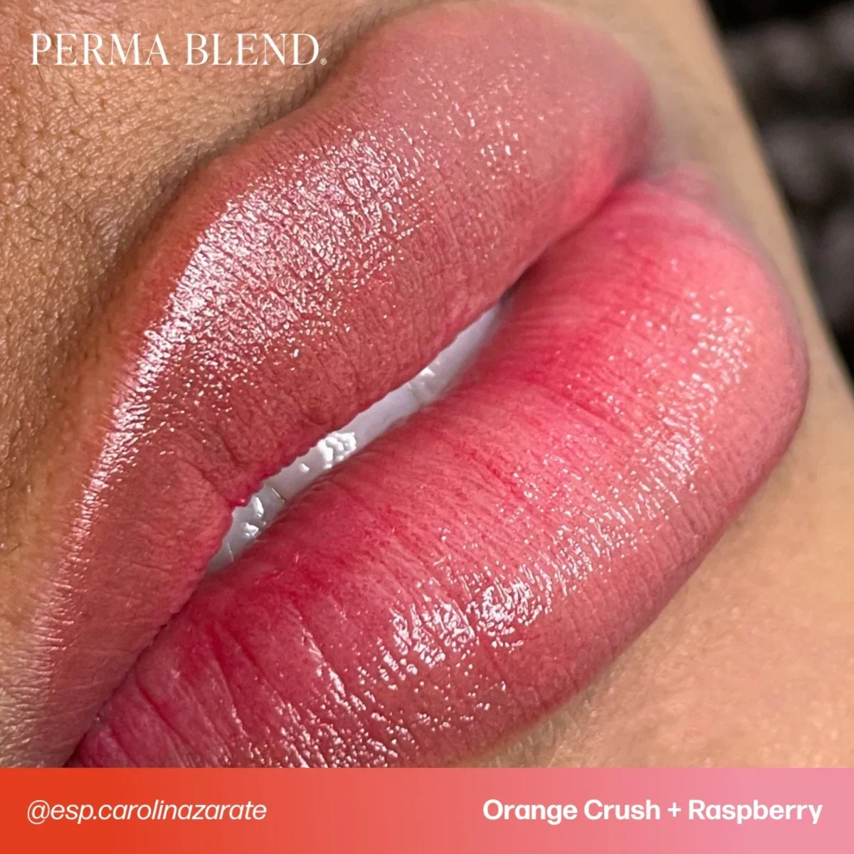 PERMA BLEND SULTRY LIP SET - Image 11
